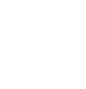 services-icon